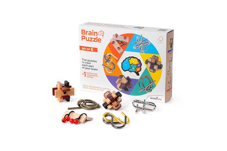 Brain Puzzle Set of 6