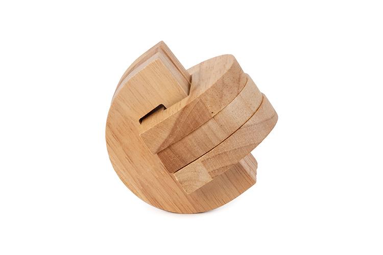Brain Puzzle N03: Temporal Lobe
